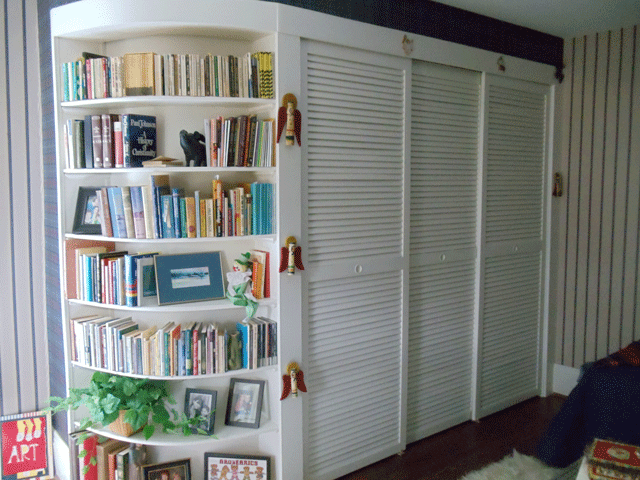 Bedroom 1 bookcase